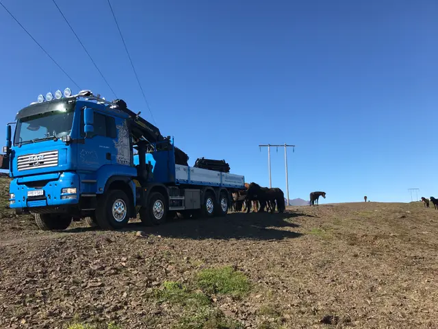 Verkefni Íslandskrana – kranabíll við hífingu, mynd 26